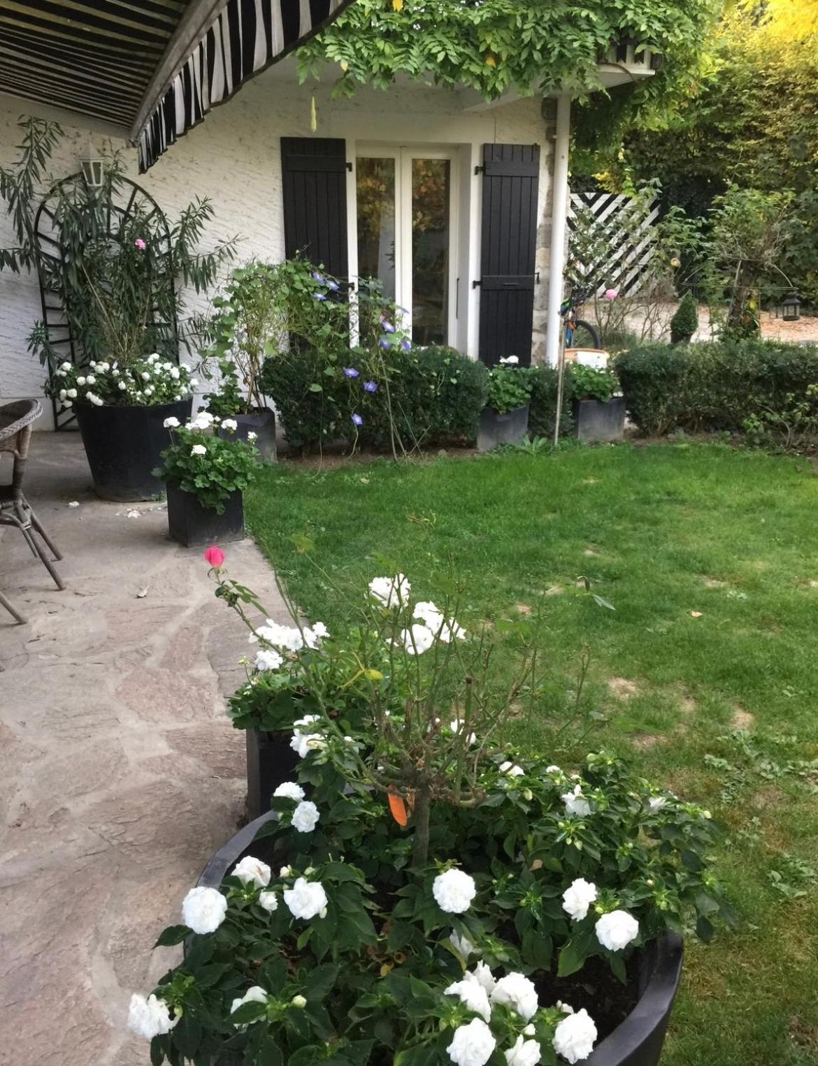 Appartement L'Arbre Aux Papillons à Veigy-Foncenex Extérieur photo